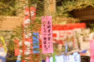 5r6a8474